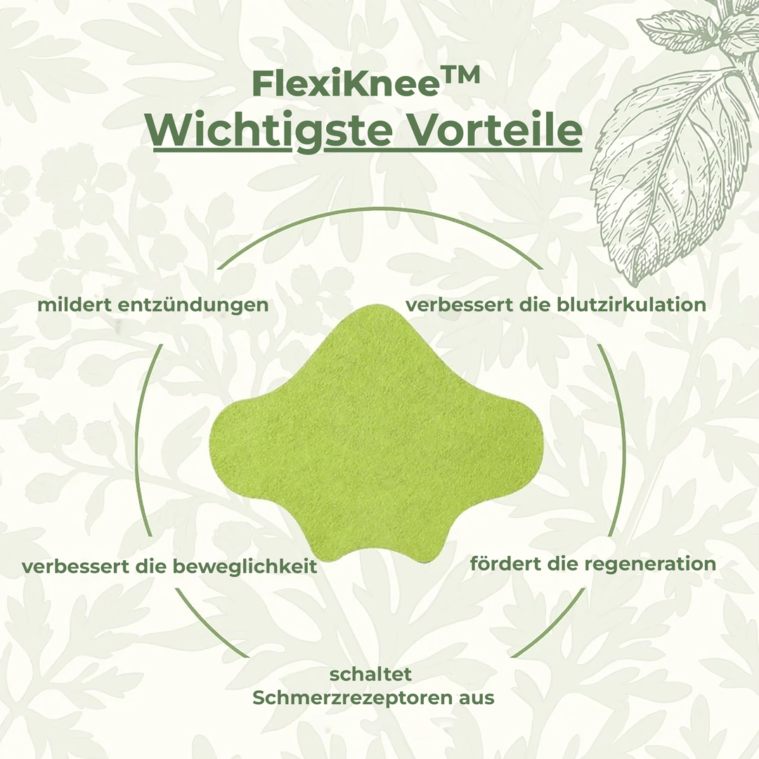 Relief-Inno FlexiBack Kräuterpflaster